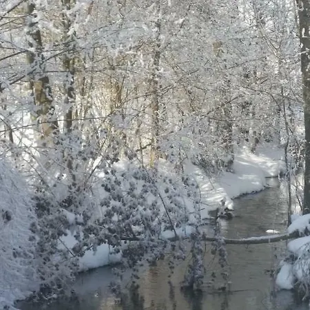 Kastenmuehle Im Mondseeland Guggenberg