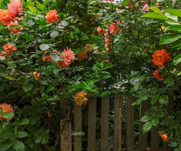 Appartement Kastenmuehle Im Mondseeland *