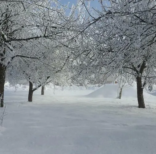Kastenmuehle Im Mondseeland *